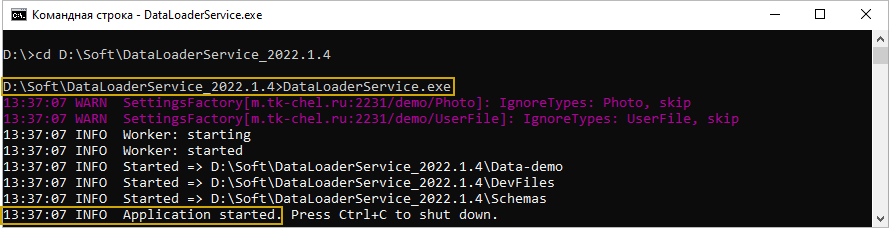 Запуск DataLoaderService в консольном режиме